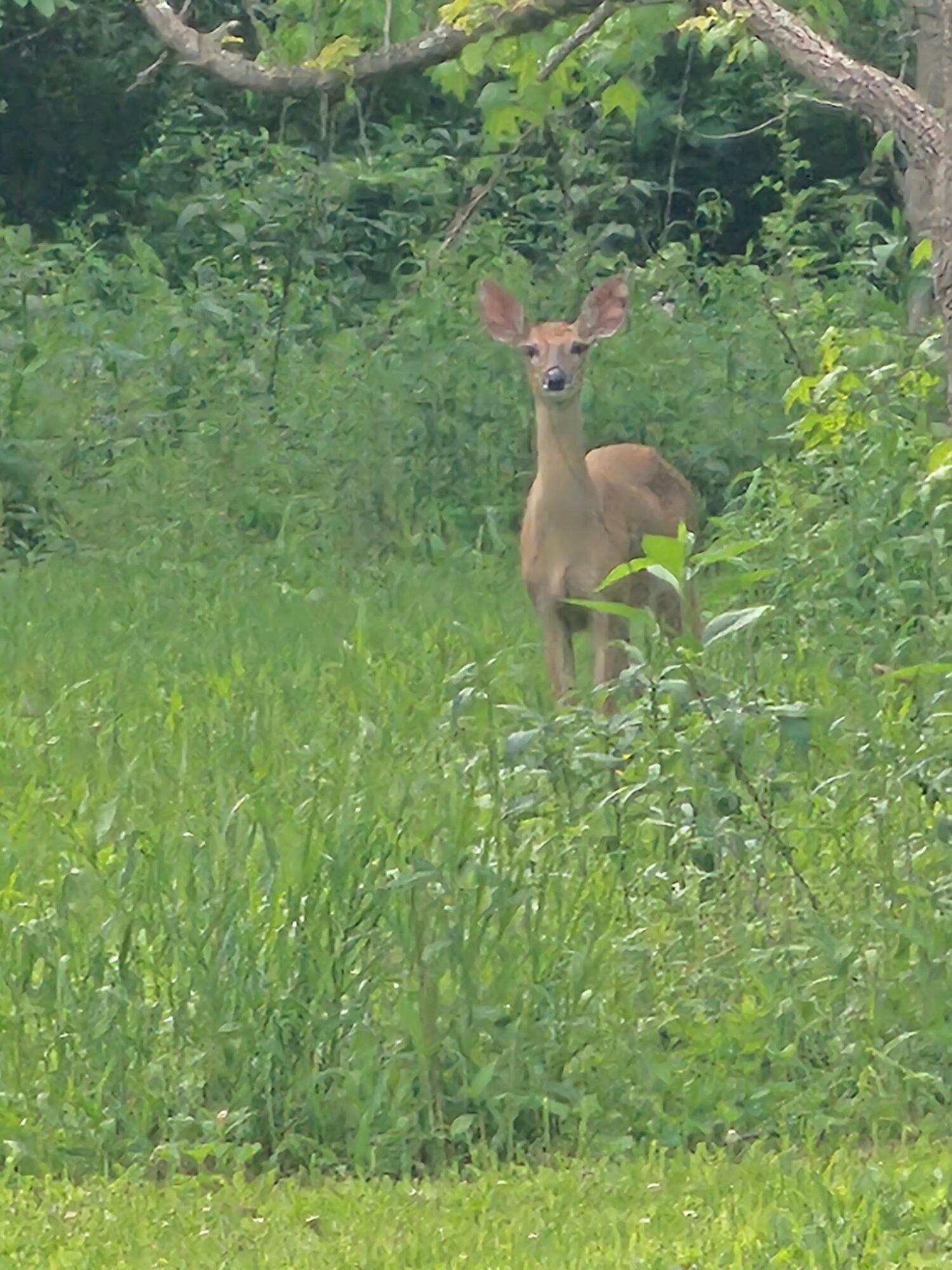 507 Nosco Road Junction City, KY 40440 - Photo 48 of 54 1000004151