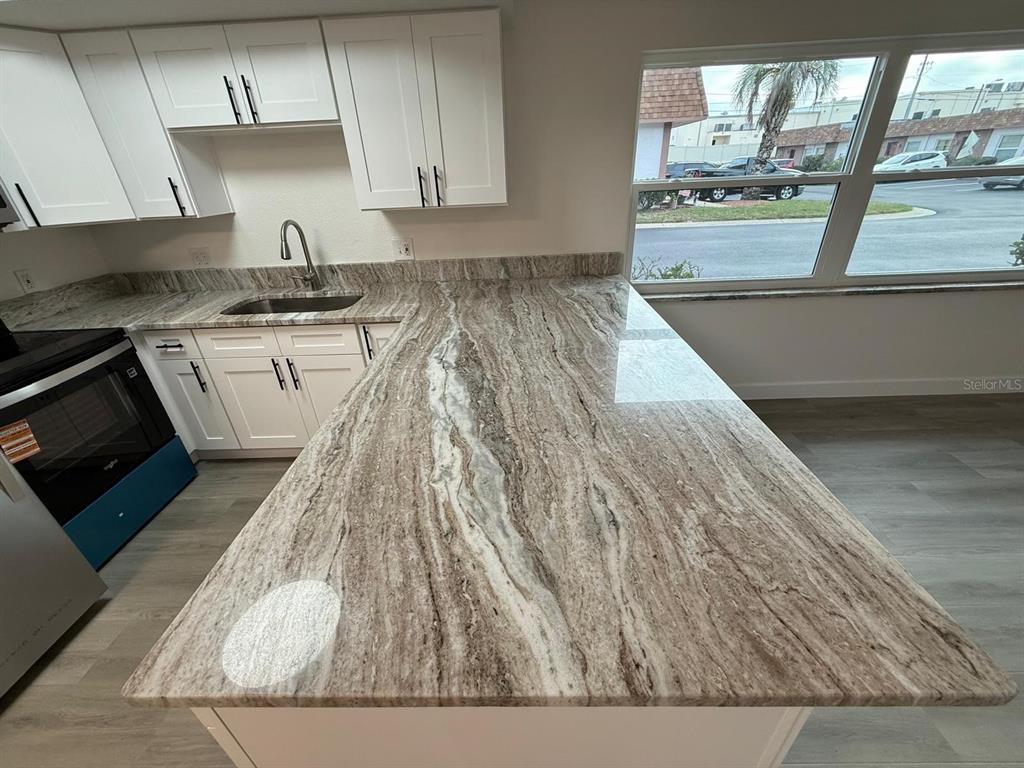 6125 Chesham Drive, Unit 1 New Port Richey, FL 34653 - Photo 11 of 39