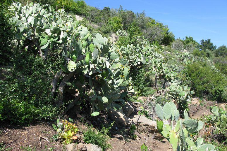 4847 Rim Road Santa Barbara, CA 93105 - Photo 28 of 28 27-571986e1-5bb7-48f9-9e6e-69ee711167f1