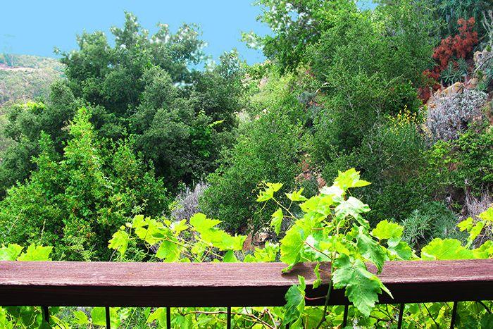 4847 Rim Road Santa Barbara, CA 93105 - Photo 8 of 28 7-56f95c5e-ffce-4883-8ad5-ca43b5c6315a