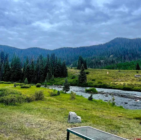 a view of a grassy field with trees