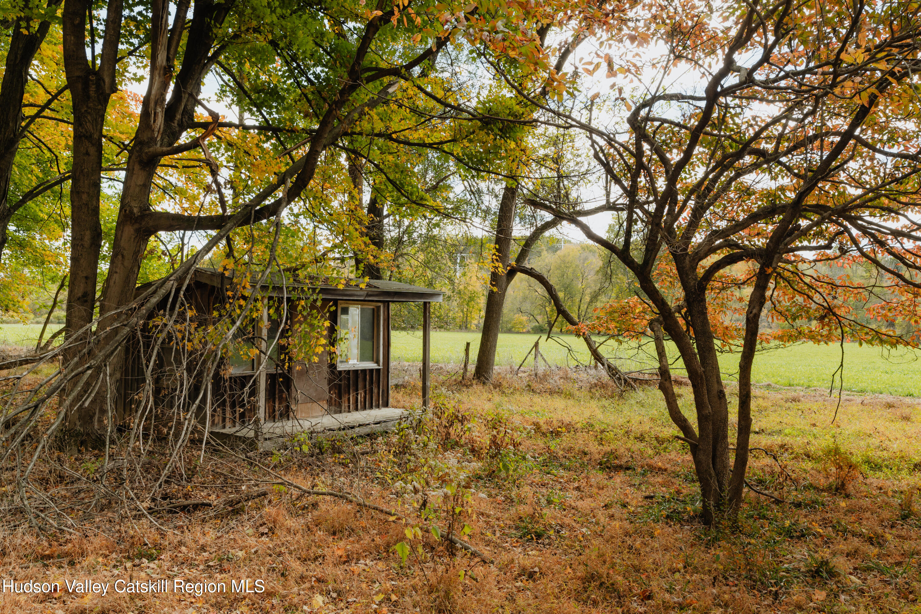 782-784 Jackson Corners Road Red Hook, NY 12571 - Photo 56 of 63 a backyard of a house with lots of trees