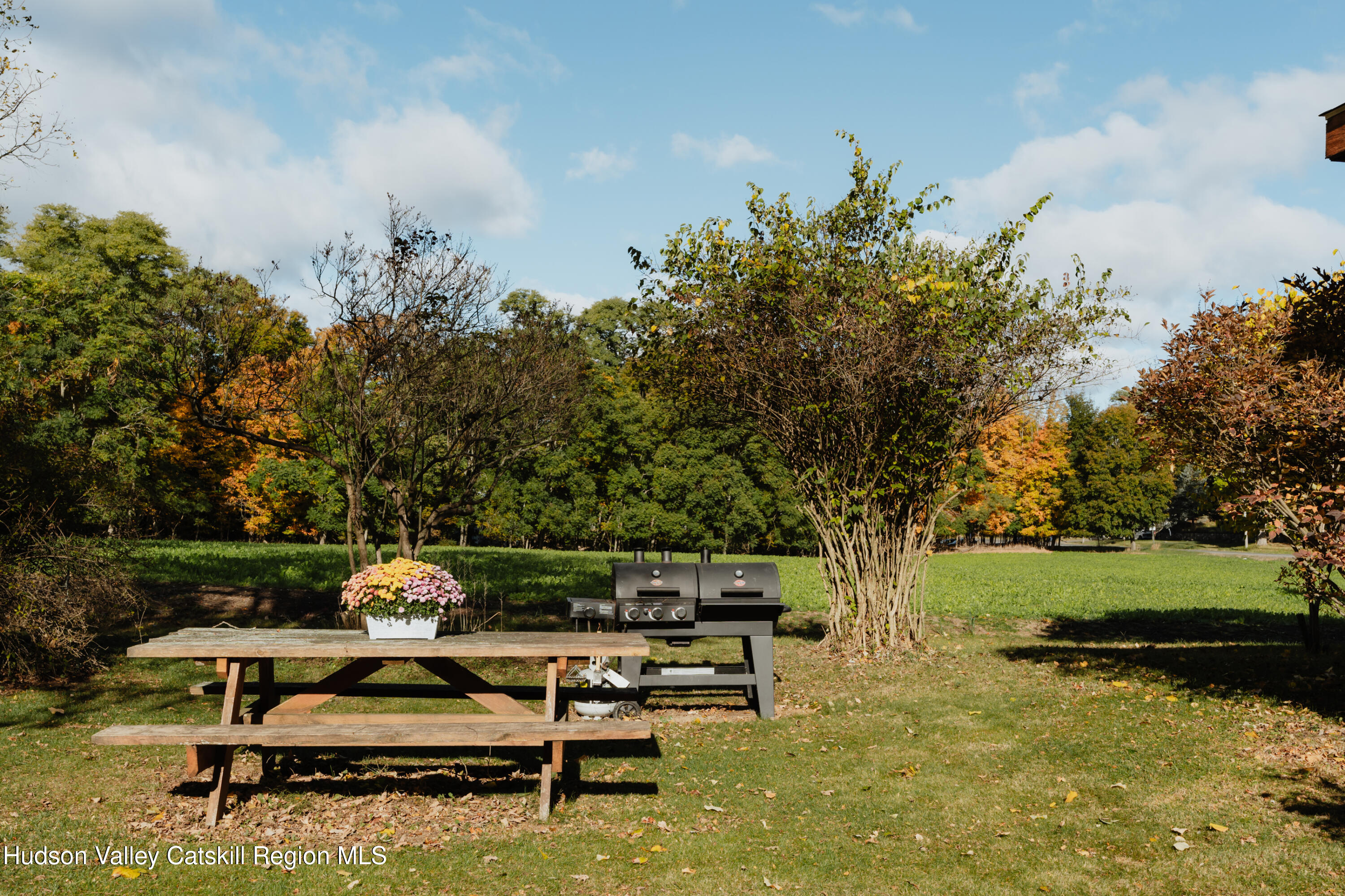 782-784 Jackson Corners Road Red Hook, NY 12571 - Photo 8 of 63 a view of a bench in the garden near a lake