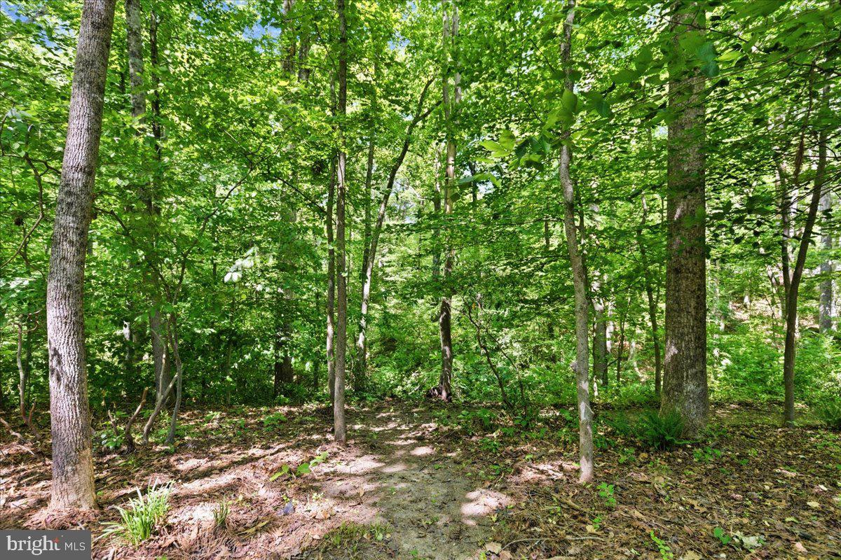 2424 Springbrook Court Huntingtown, MD 20639 - Photo 23 of 27