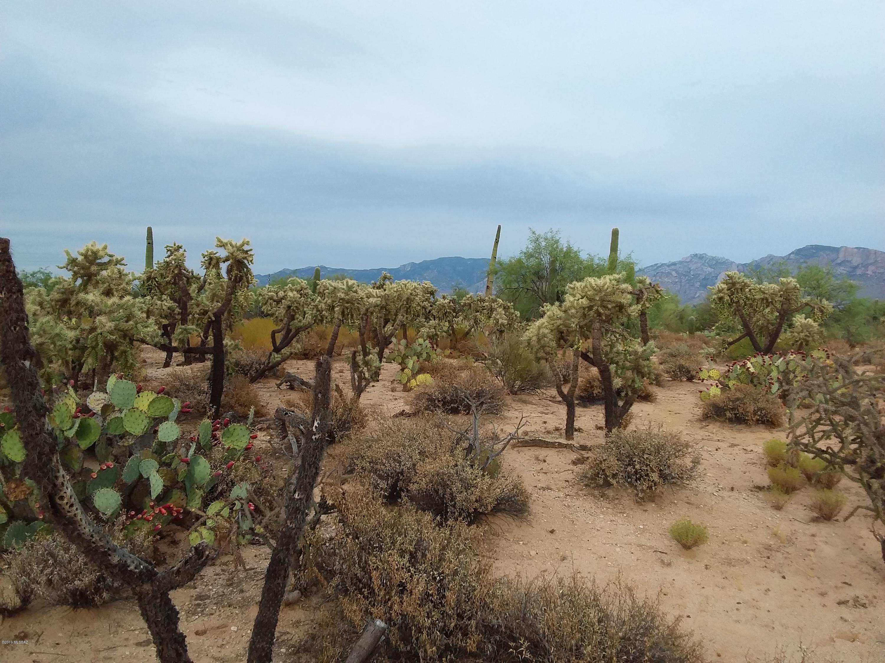 2315 West Tangerine Road Tucson, AZ 85742 - Photo 12 of 27