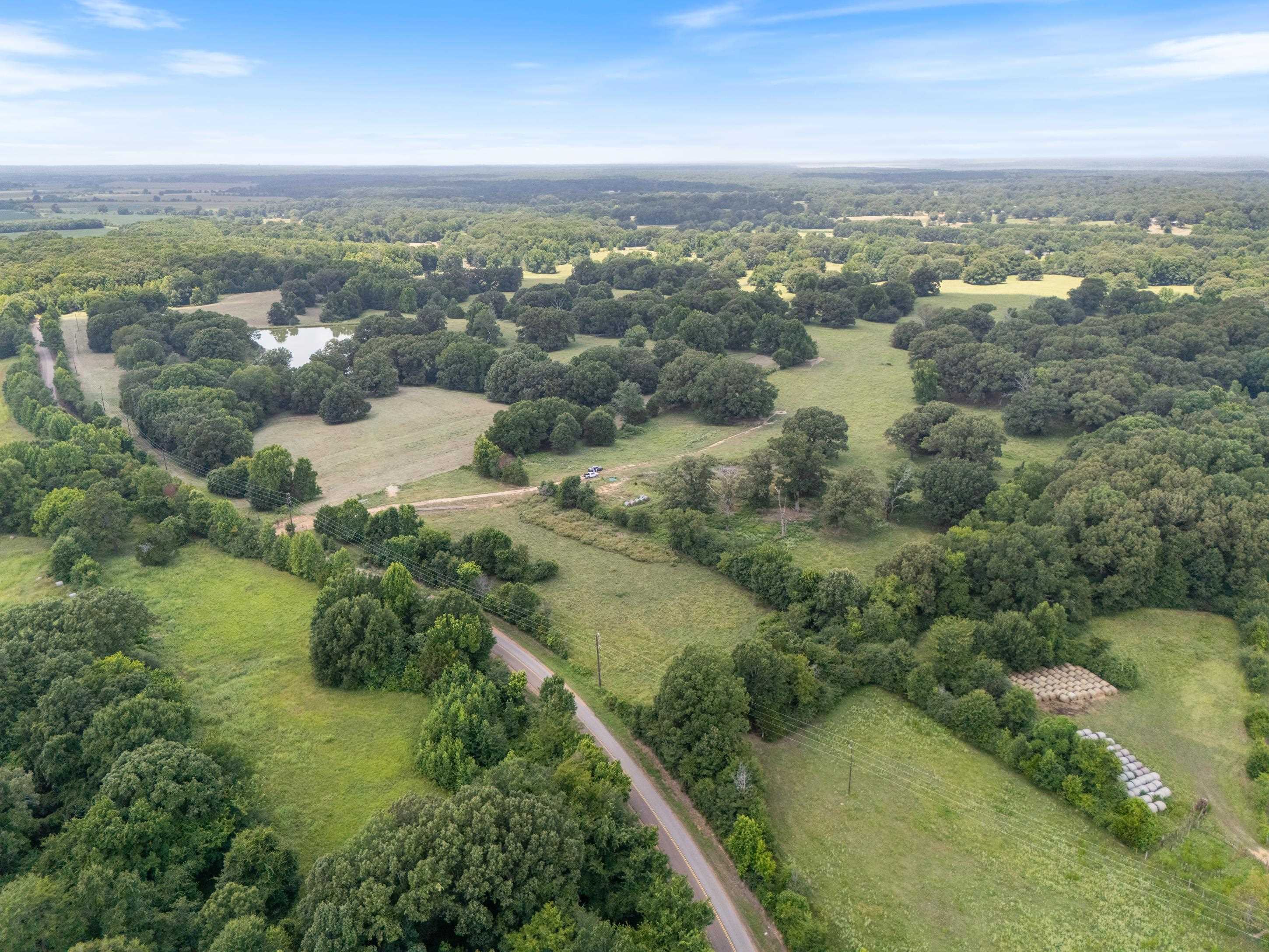 1150 Veazey Road Coldwater, MS 38618 - Photo 1 of 31 Gallery Image 1
