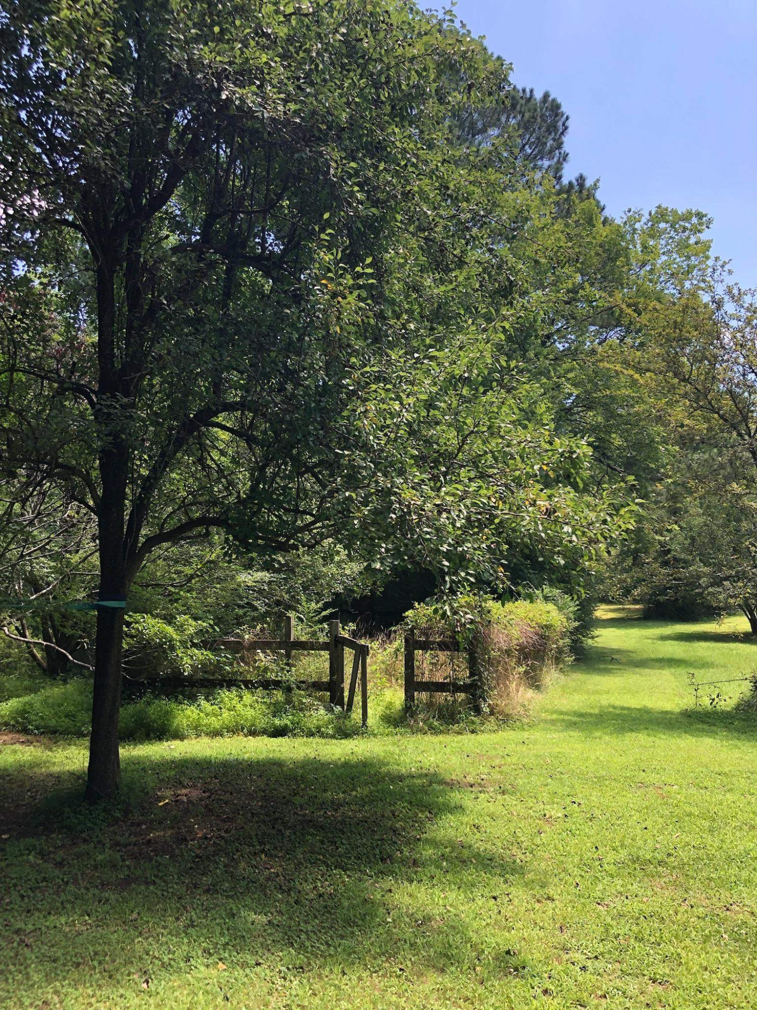 2720 Beck Road Durham, NC 27704 - Photo 39 of 39 Photo 39