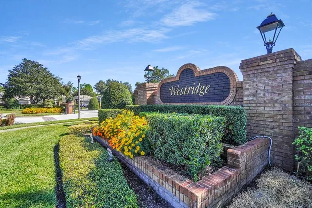 a view of a swimming pool with a garden and trees in the background