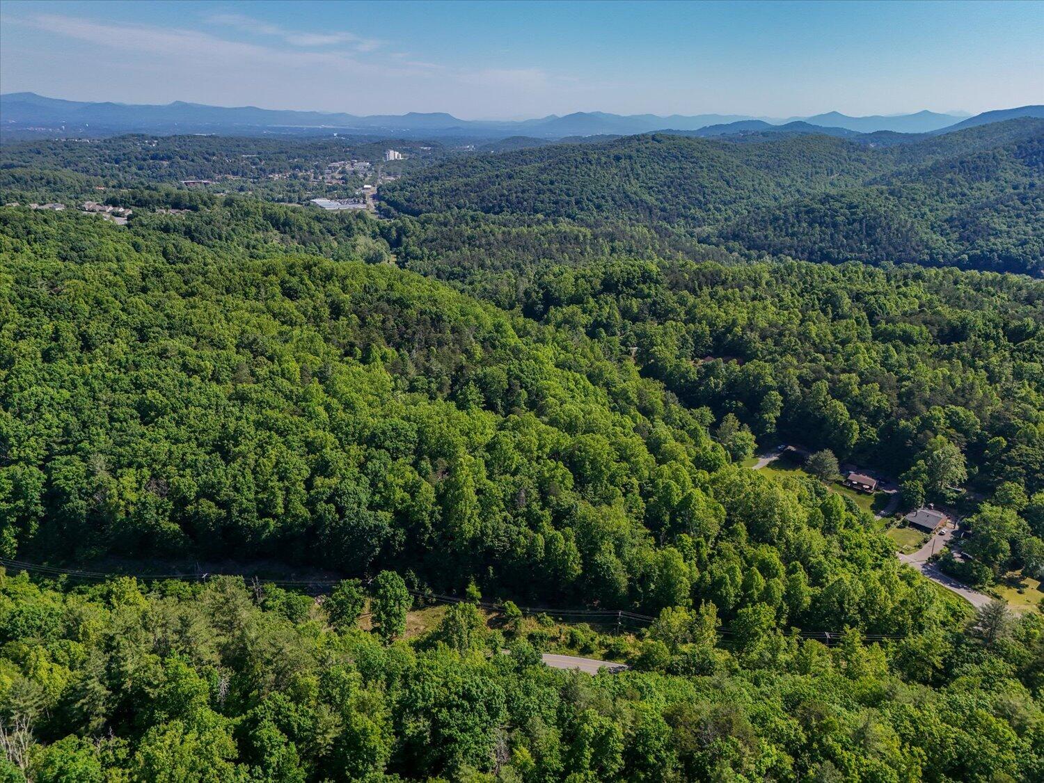 0 Merriman Road Roanoke, VA 24018 - Photo 6 of 10 6-5-29