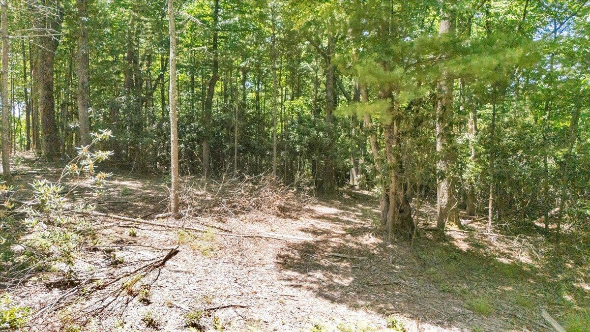 Tbd Dogwood Ridge Fancy Gap, VA 24328 - Photo 11 of 24 02-DJI_20260702131021_0002_D