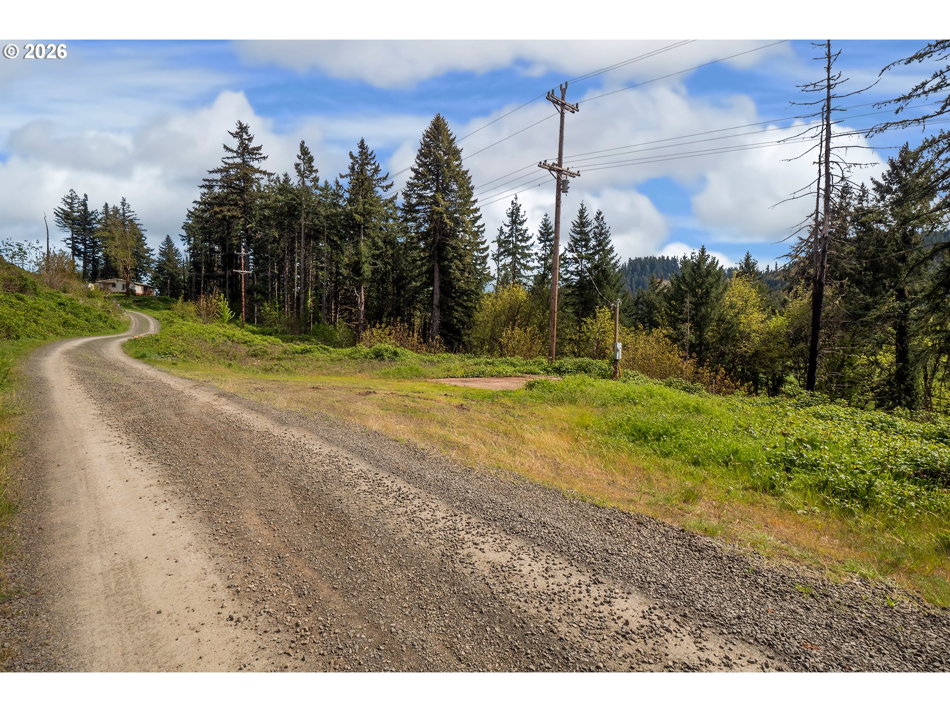 78693 Dowens Road Cottage Grove, OR 97424 - Photo 16 of 22 Buildable Area