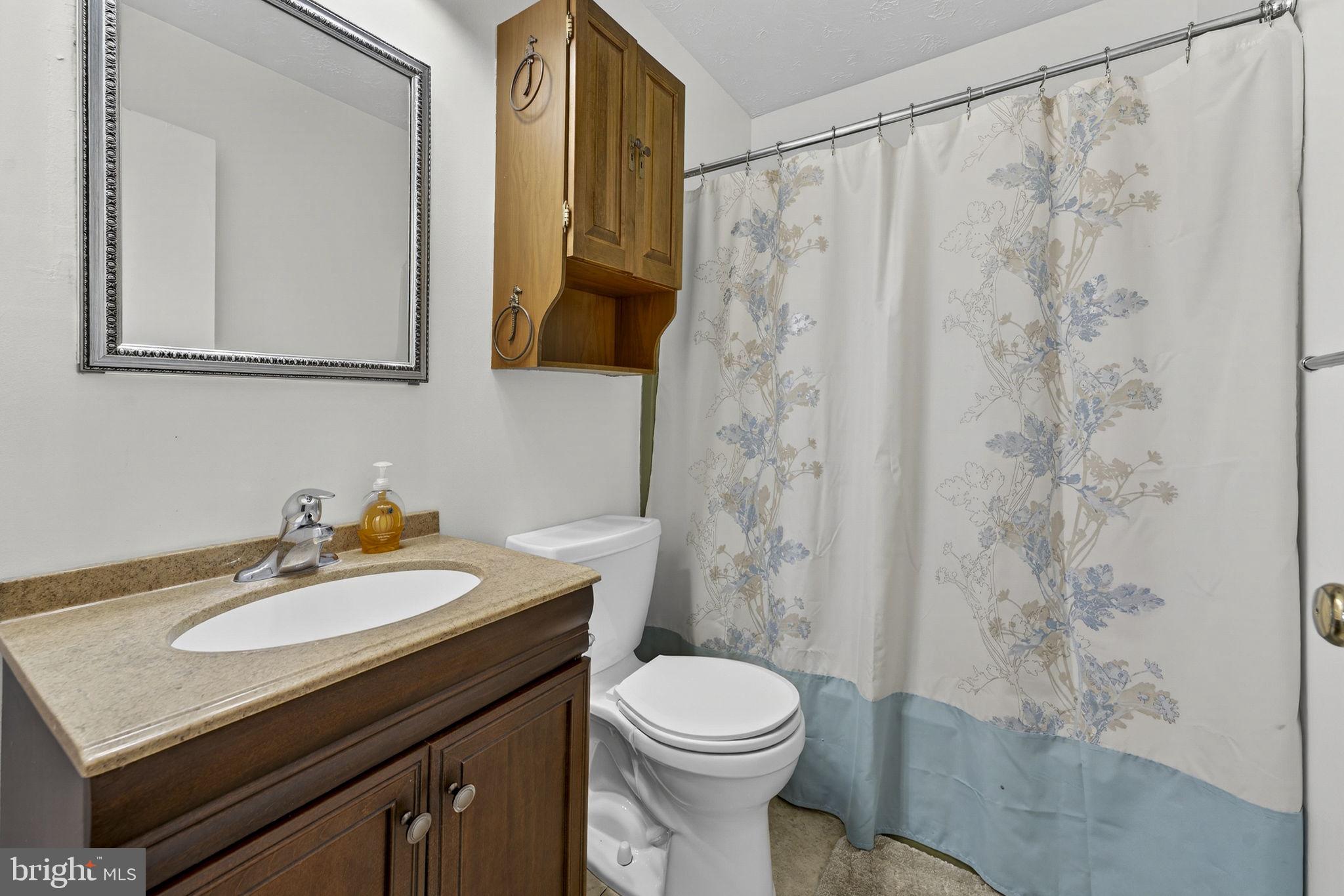 731 Kendrick Ford Road Front Royal, VA 22630 - Photo 27 of 85 a bathroom with a sink toilet and mirror