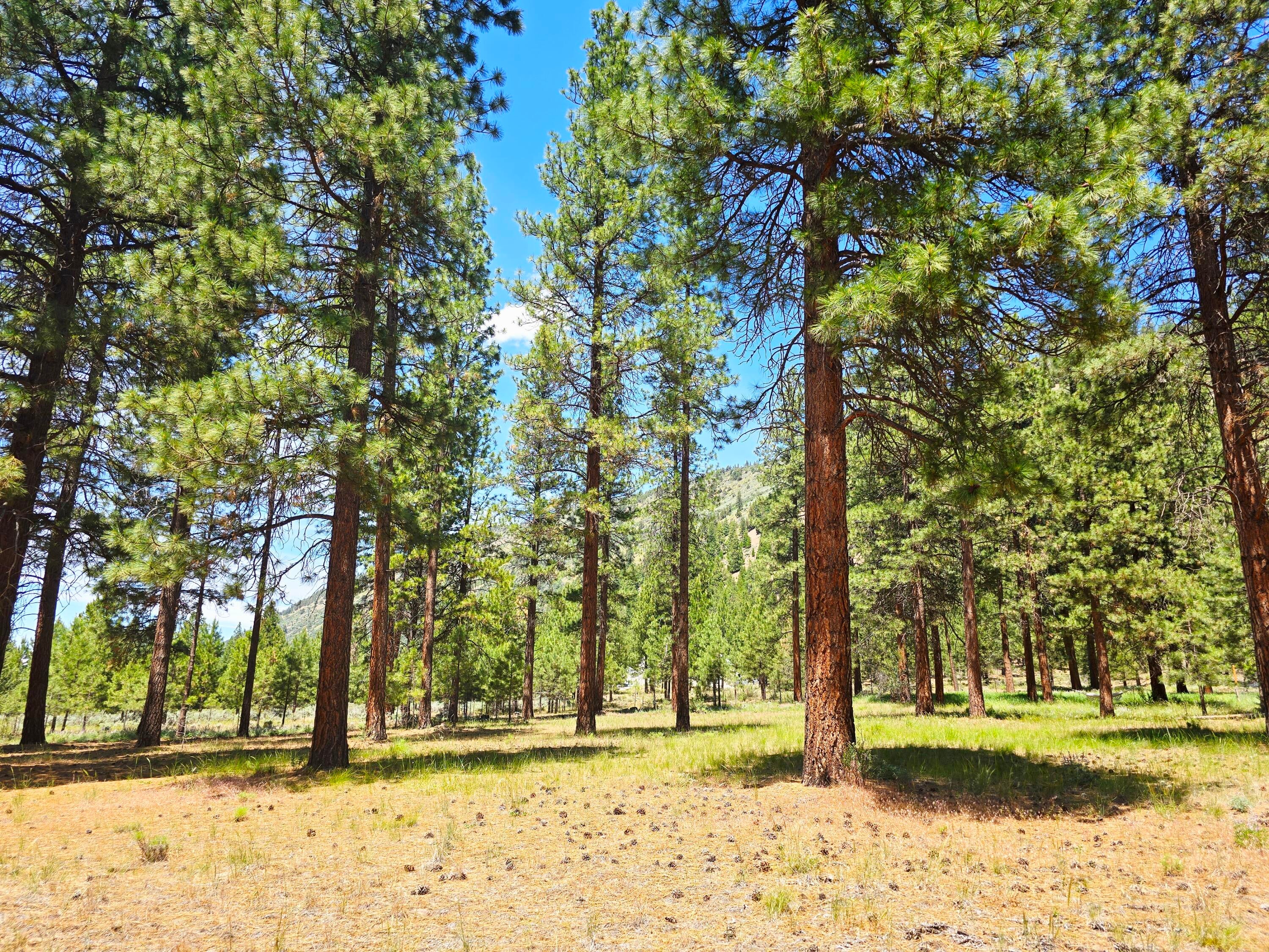 10211 Old Fort Road Klamath Falls, OR 97601 - Photo 58 of 79 Property