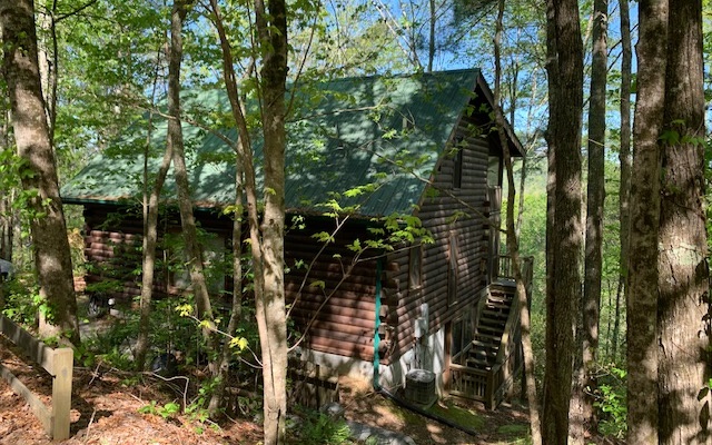 279 Laurel Creek Road Blue Ridge, GA 30513 - Photo 1 of 1 a picture of trees