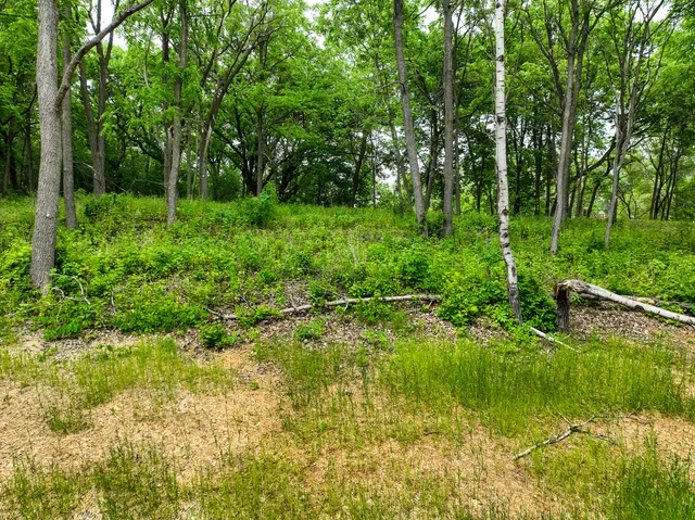 $215,000 | 2685 Woodcliffe Trail, Hastings, MN 55033