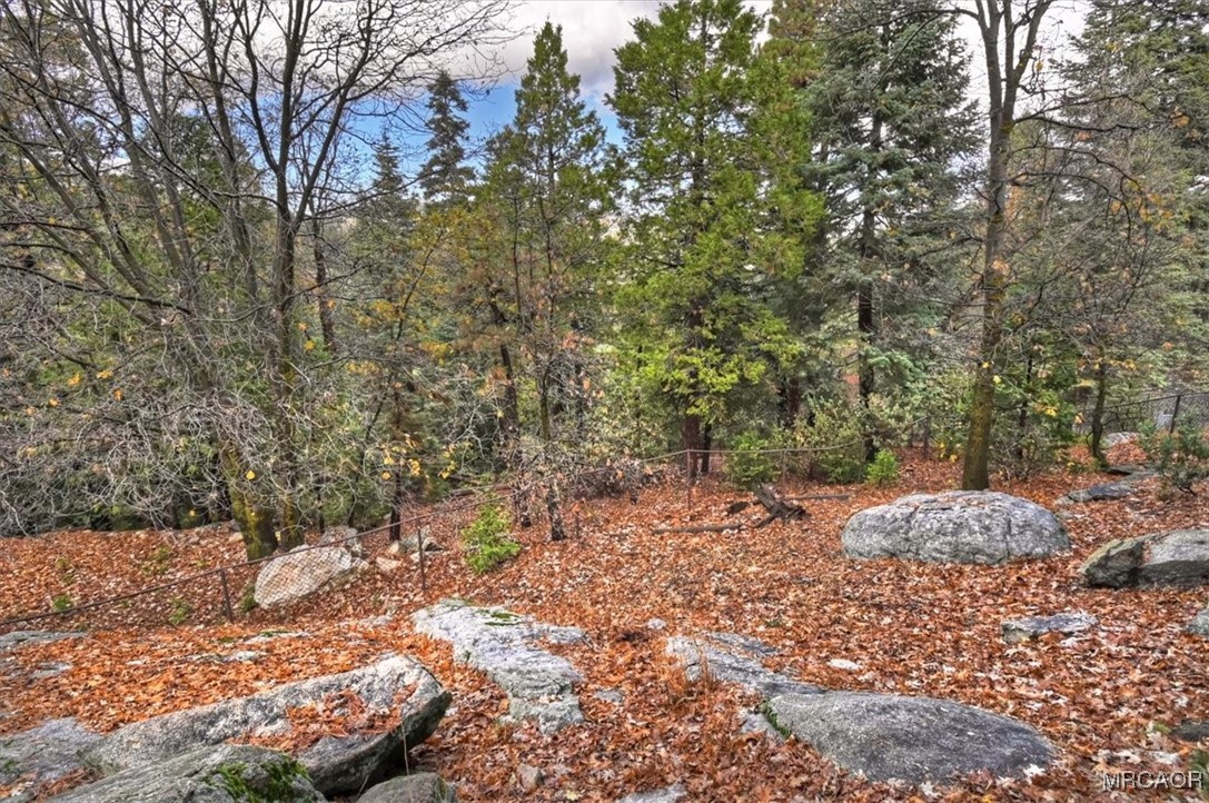 26822 Huron Road Lake Arrowhead, CA 92391 - Photo 23 of 38 a view of a yard with plants and trees
