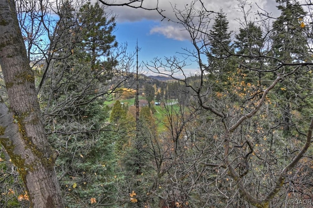26822 Huron Road Lake Arrowhead, CA 92391 - Photo 24 of 38 a backyard of a building with large trees