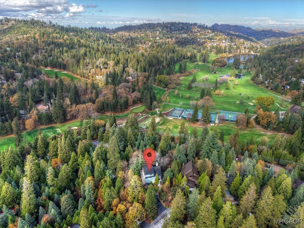 26822 Huron Road Lake Arrowhead, CA 92391 - Photo 10 of 38 a view of a city