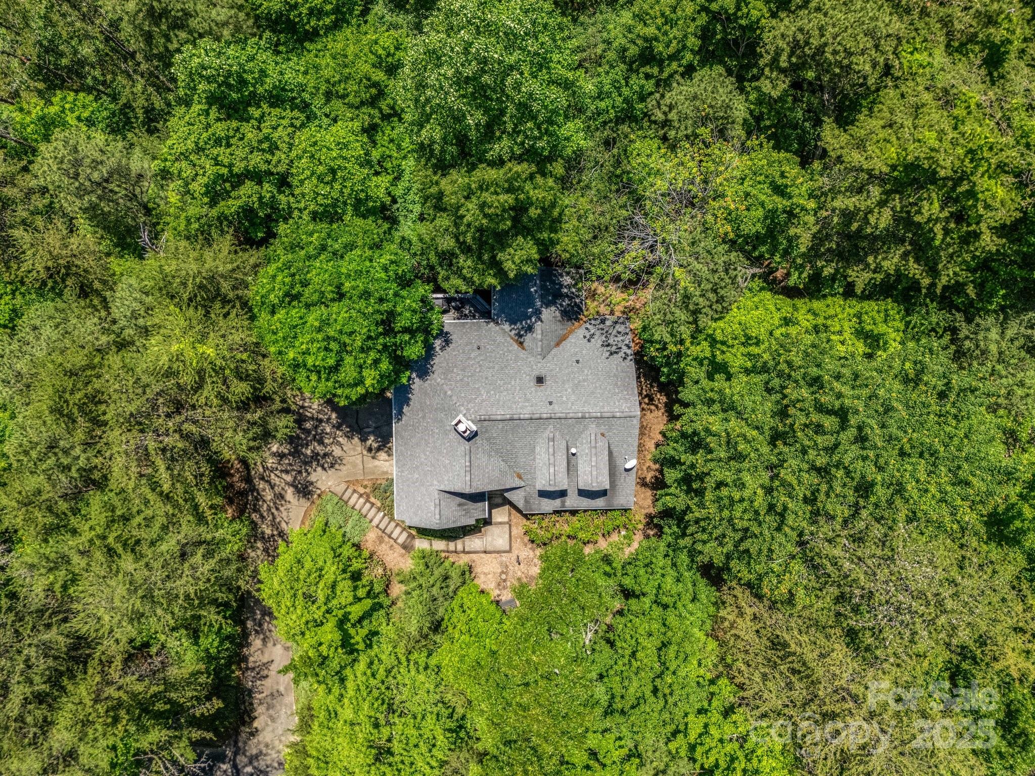 212 Ridgeway Road Lake Lure, NC 28746 - Photo 14 of 44 an aerial view of a house with a yard and garden