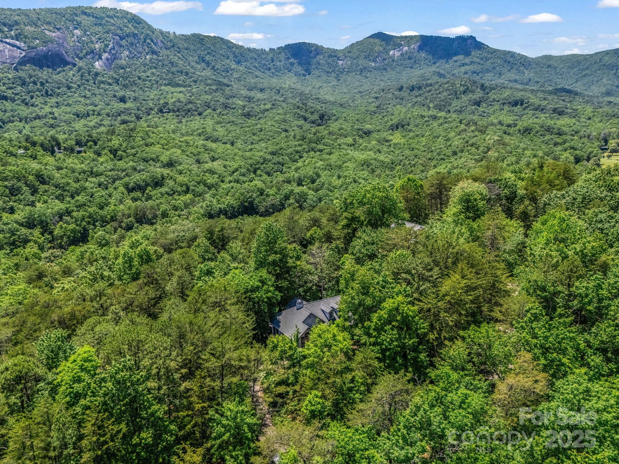 212 Ridgeway Road Lake Lure, NC 28746 - Photo 15 of 44 a view of a lush green forest with lush green forest