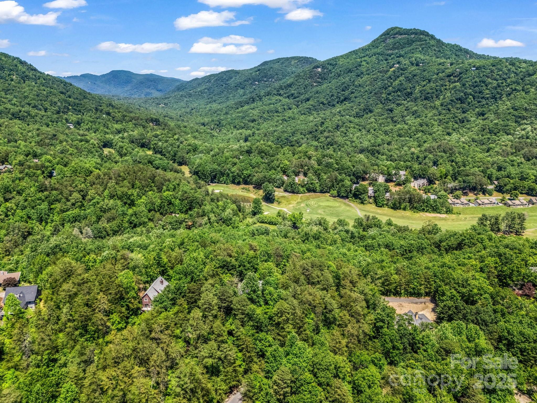 212 Ridgeway Road Lake Lure, NC 28746 - Photo 16 of 44 a view of a lush green hillside and a building in the background