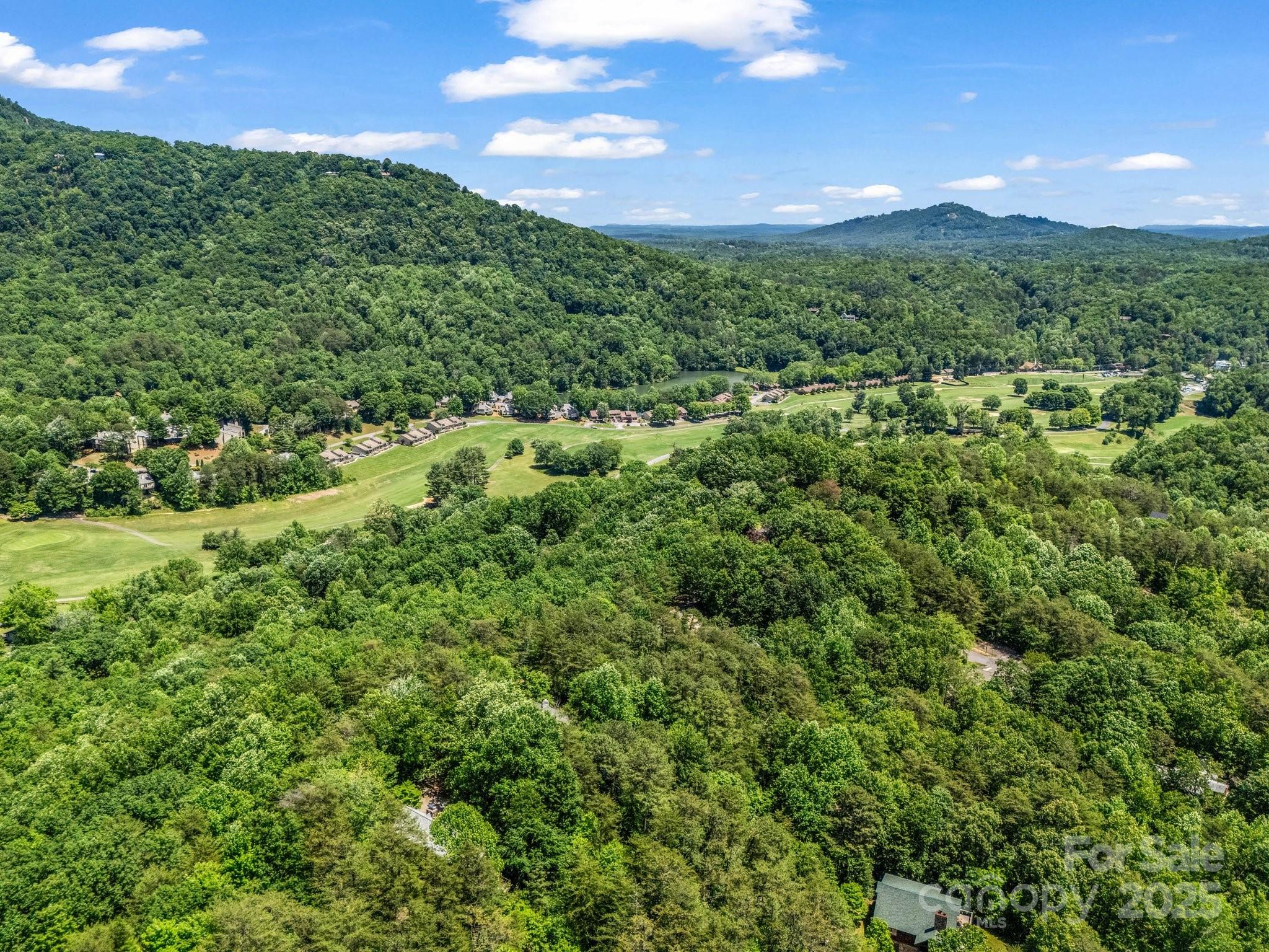 212 Ridgeway Road Lake Lure, NC 28746 - Photo 17 of 44 a view of a green yard