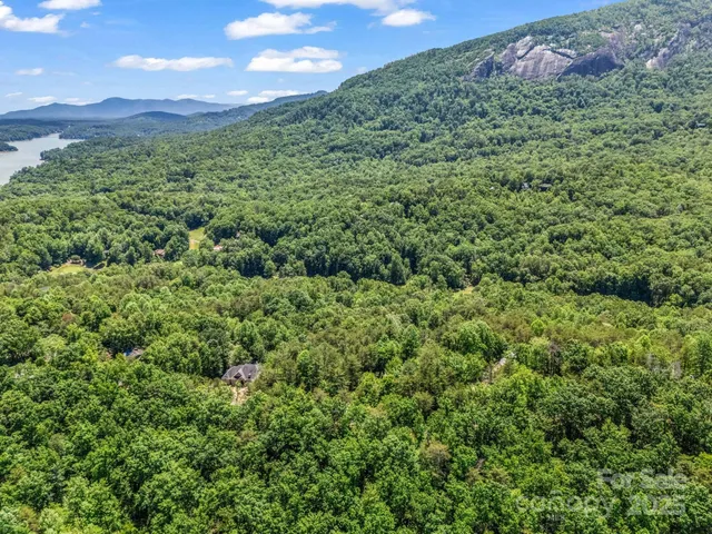 a view of a lush green forest with a building in the background