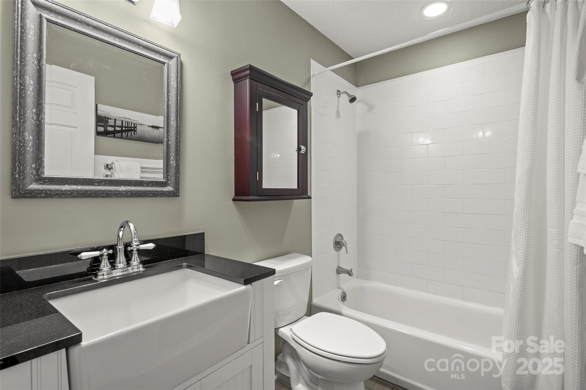 212 Ridgeway Road Lake Lure, NC 28746 - Photo 30 of 44 a bathroom with a sink a toilet a mirror and shower