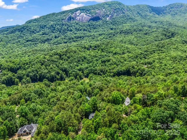 a view of a lush green forest with trees and some houses