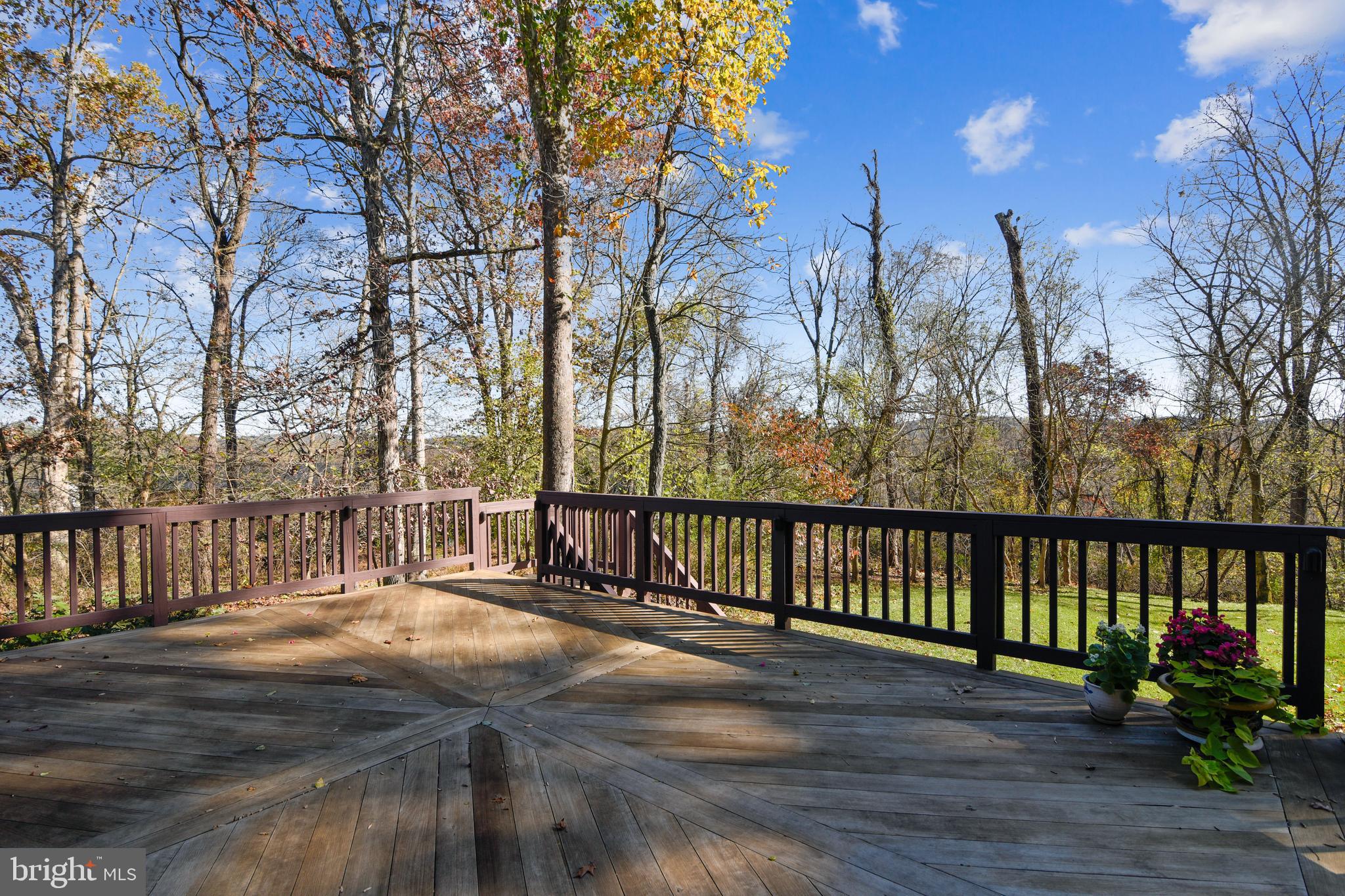 38283 Hughesville Road Leesburg, VA 20175 - Photo 16 of 77 Hardwood Decking made of Australian Jarrah
