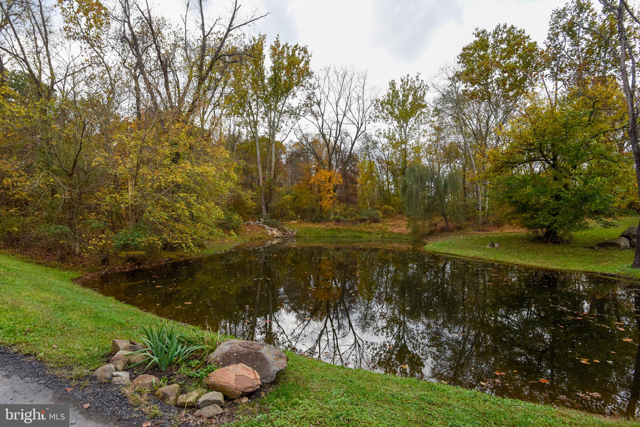 38283 Hughesville Road Leesburg, VA 20175 - Photo 3 of 77 Stocked pond on the property