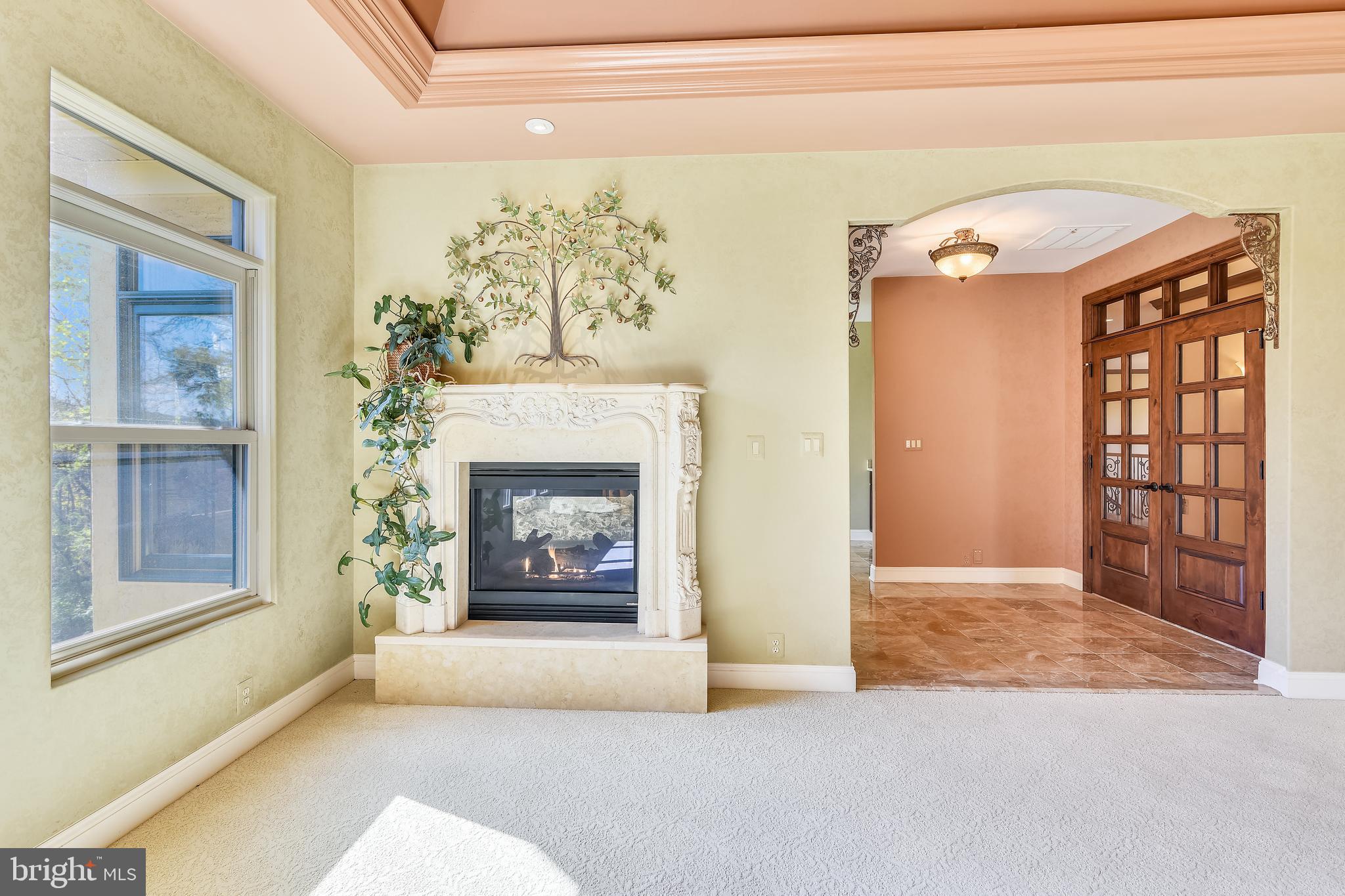 38283 Hughesville Road Leesburg, VA 20175 - Photo 26 of 77 Double sided gas fireplace in owner's suite