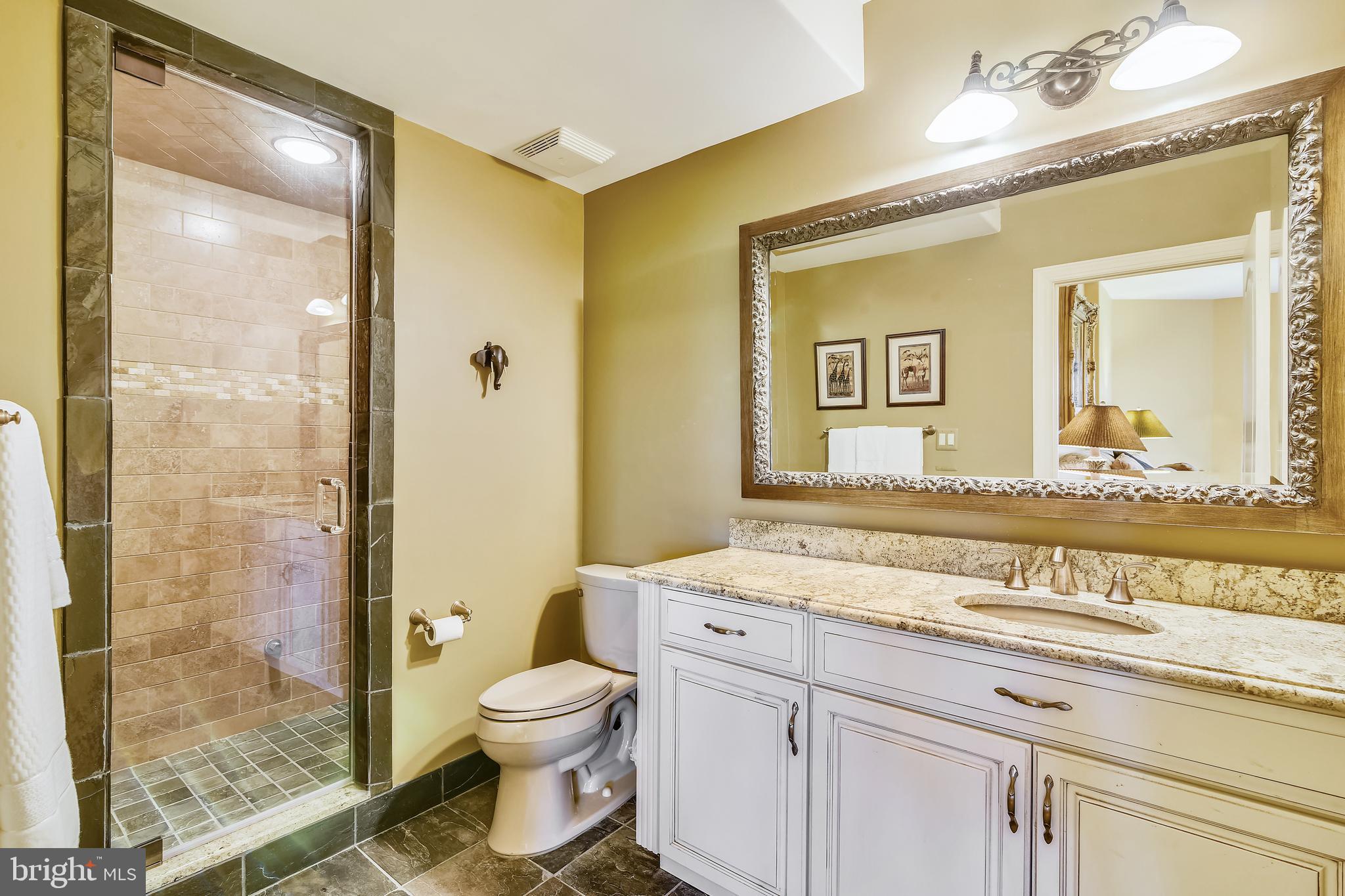 38283 Hughesville Road Leesburg, VA 20175 - Photo 45 of 77 Lower level full bath with steam shower