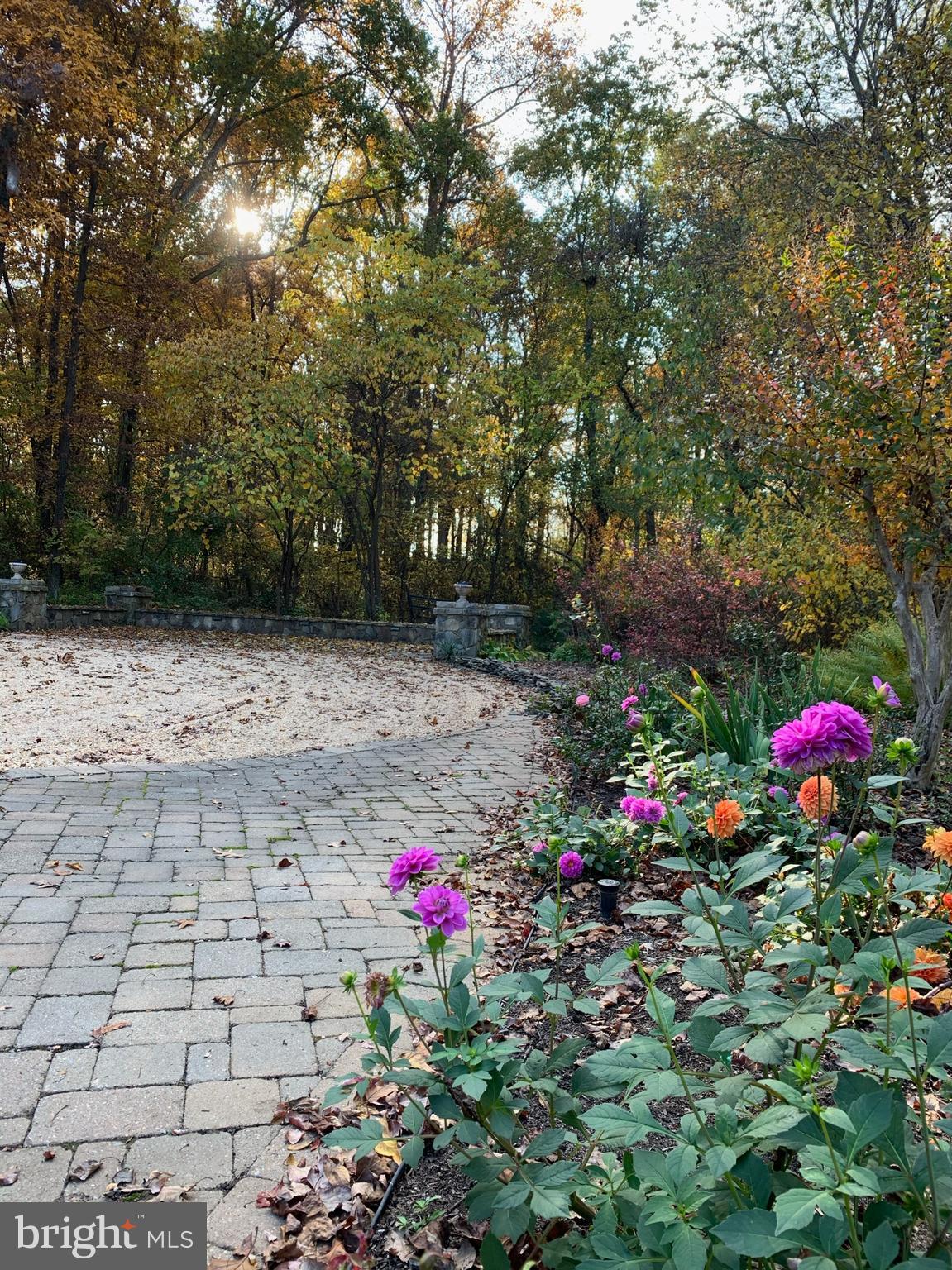 38283 Hughesville Road Leesburg, VA 20175 - Photo 58 of 77 Driveway / Parking Area
