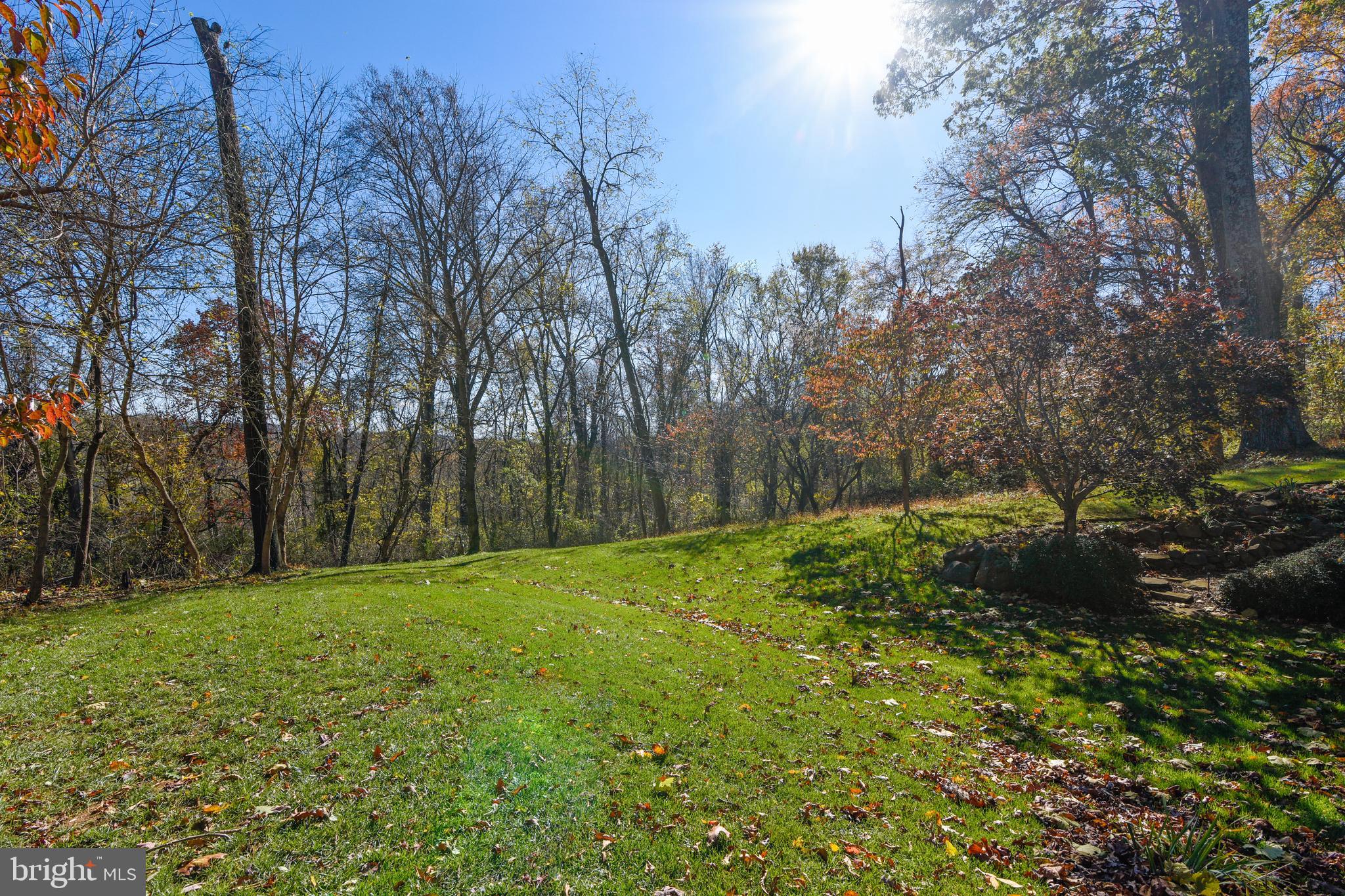 38283 Hughesville Road Leesburg, VA 20175 - Photo 60 of 77 Privacy and beautiful surroudings