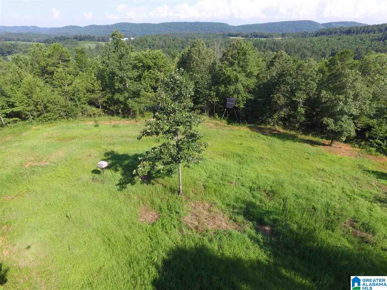 0 Carnes Chapel Road, Unit 113 Gallant, AL 35972 - Photo 19 of 32