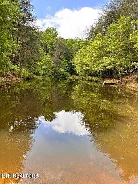 188 Dalton Branch Road Tellico Plains, TN 37385 - Photo 14 of 42
