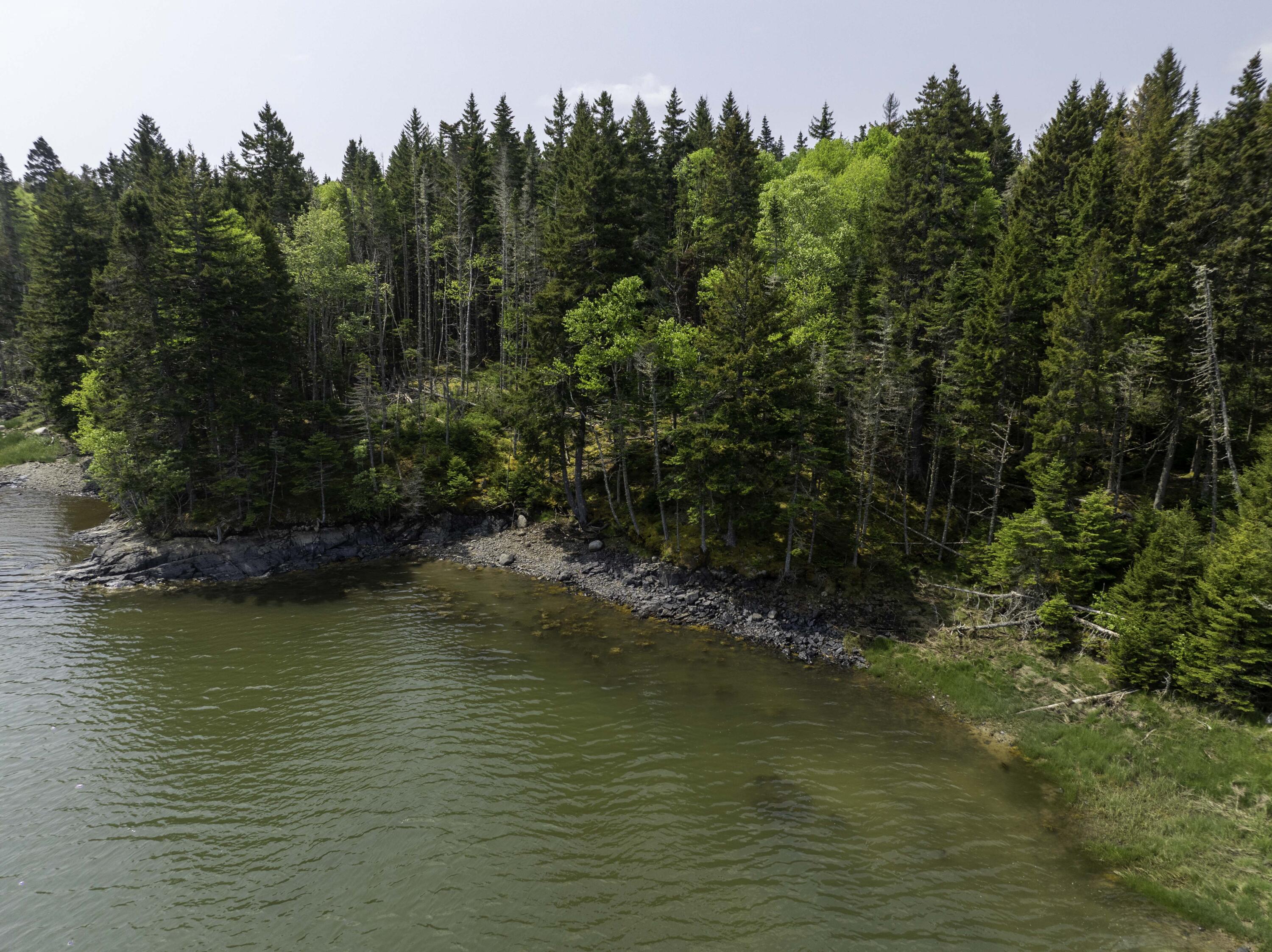 47 Yoho Head Road Machiasport, ME 04655 - Photo 9 of 25 70-47 Yoho Head Road Machiasport (12 of