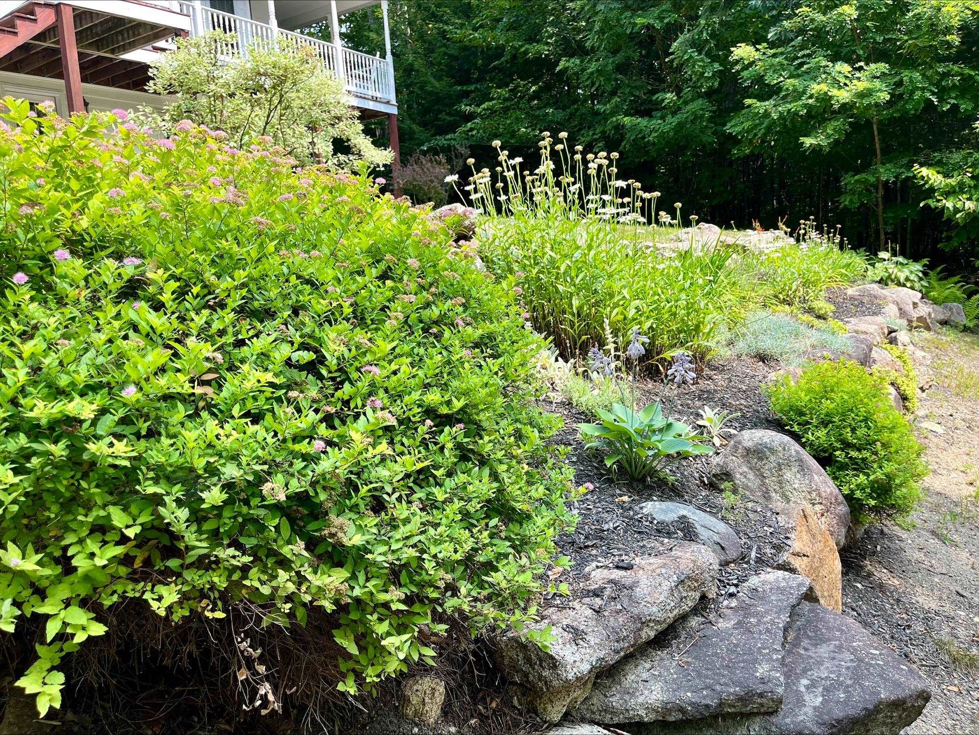 459 Grandview Road Conway, NH 03818 - Photo 43 of 48