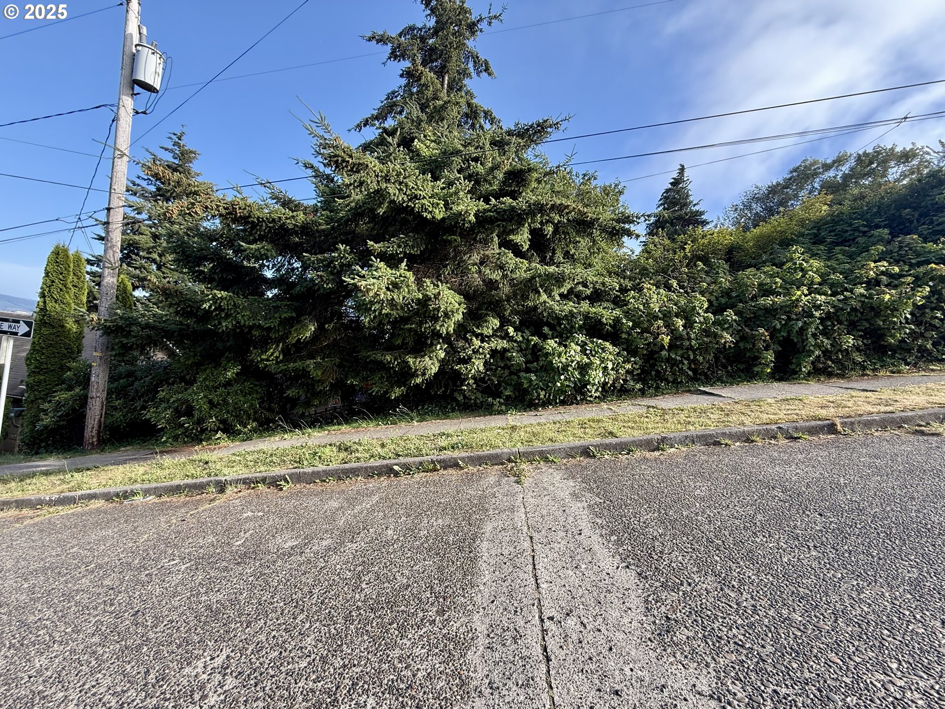 0 Exchange Street North Bend, OR 97459 - Photo 1 of 5 a view of a yard with potted plants