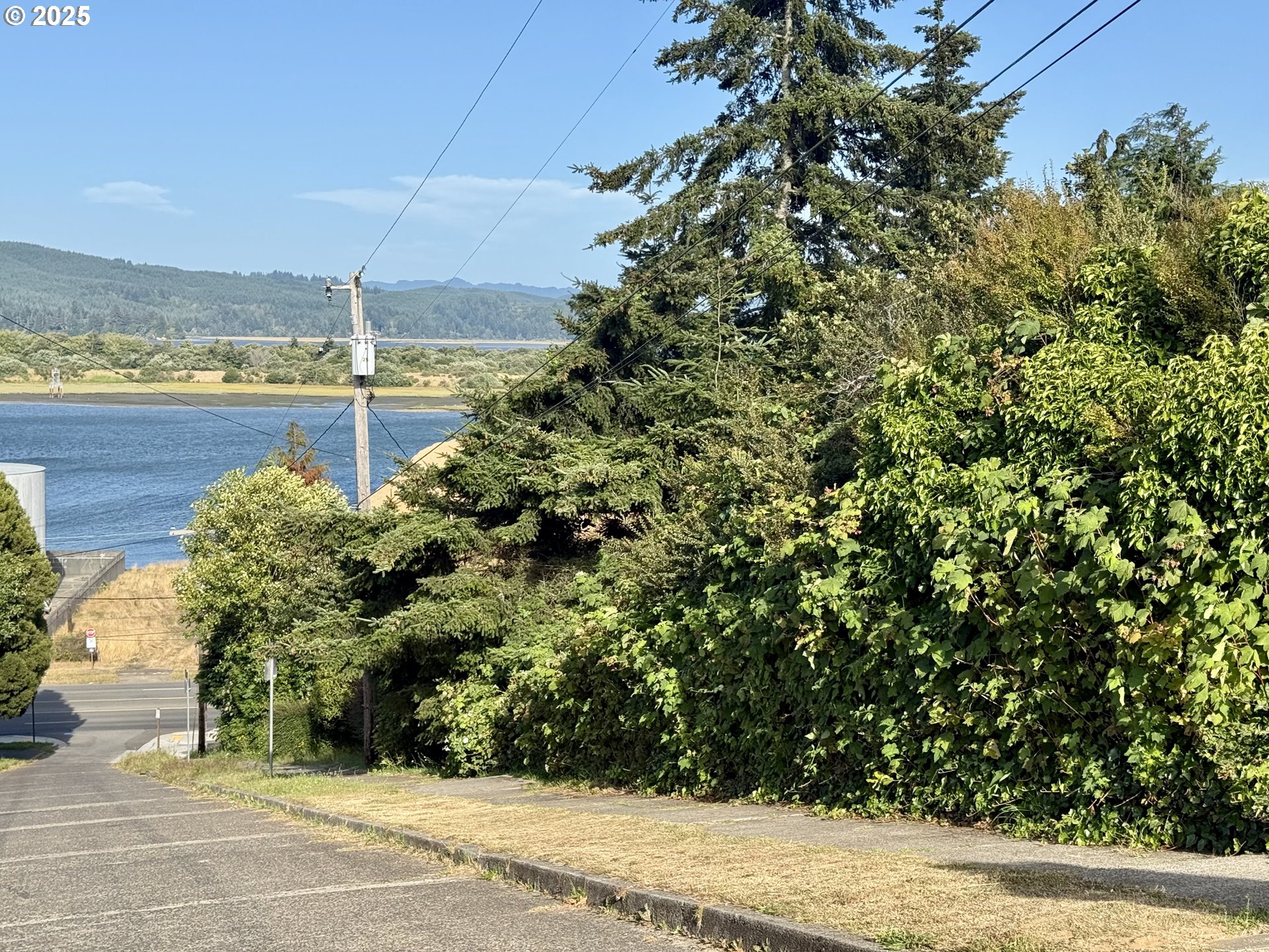 0 Exchange Street North Bend, OR 97459 - Photo 3 of 5 a view of a yard