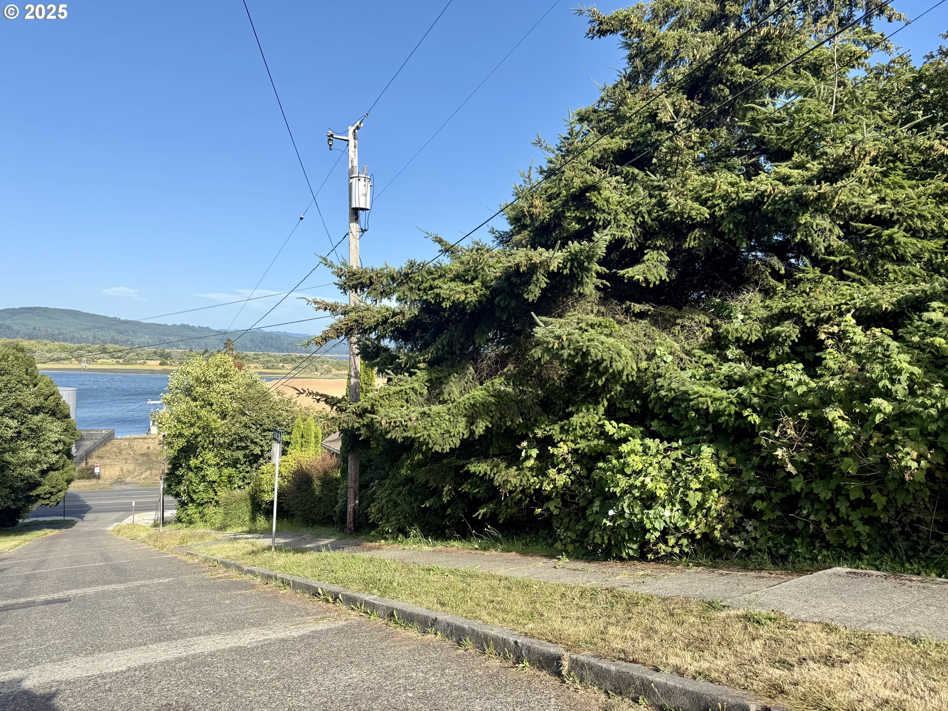 0 Exchange Street North Bend, OR 97459 - Photo 4 of 5 a view of a yard