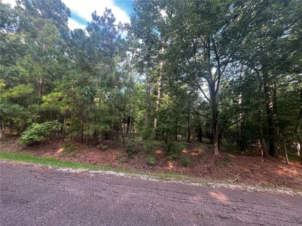 a view of a forest with trees in the background