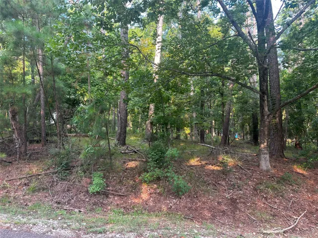 $29,500 | 18 South Royale Greens Drive, Coldspring, TX 77331