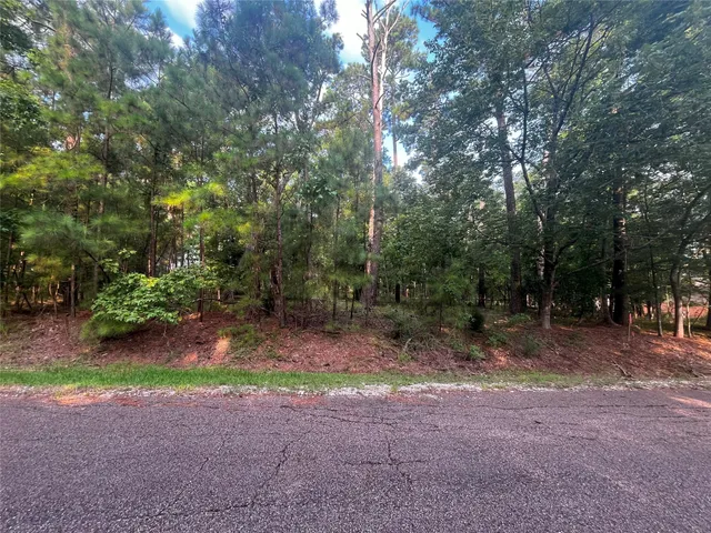 $29,500 | 18 South Royale Greens Drive, Coldspring, TX 77331