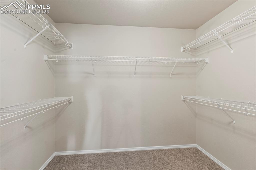 11574 Wildwood Ridge Drive Colorado Springs, CO 80921 - Photo 21 of 37
