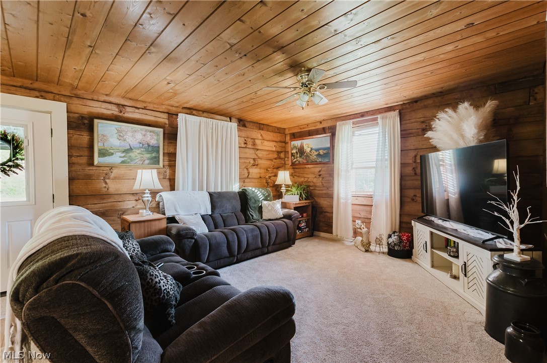 47480 Unionvale Road Cadiz, OH 43907 - Photo 10 of 37 Entry into the spacious living room area