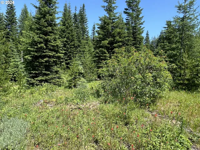 a black and white photo of a city