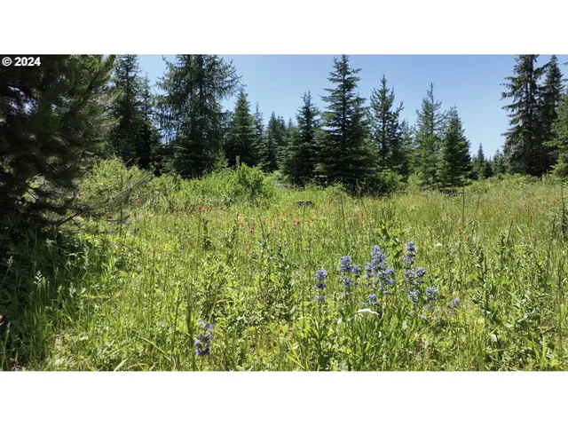 $274,000 | 0 Vacant Land, Weston, OR 97886