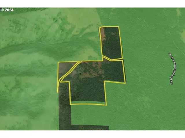 a bird view of a backyard